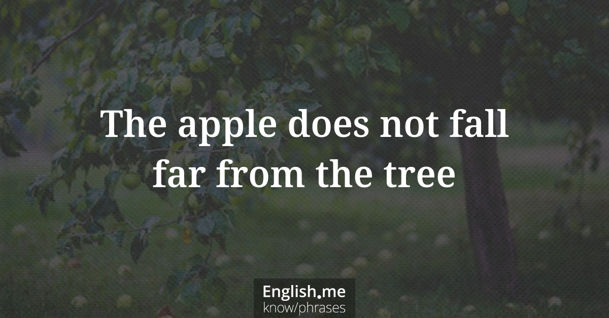Erklärung “The apple does not fall/never falls far from the tree” Erklärung “The apple does not fall/never falls far from the tree”