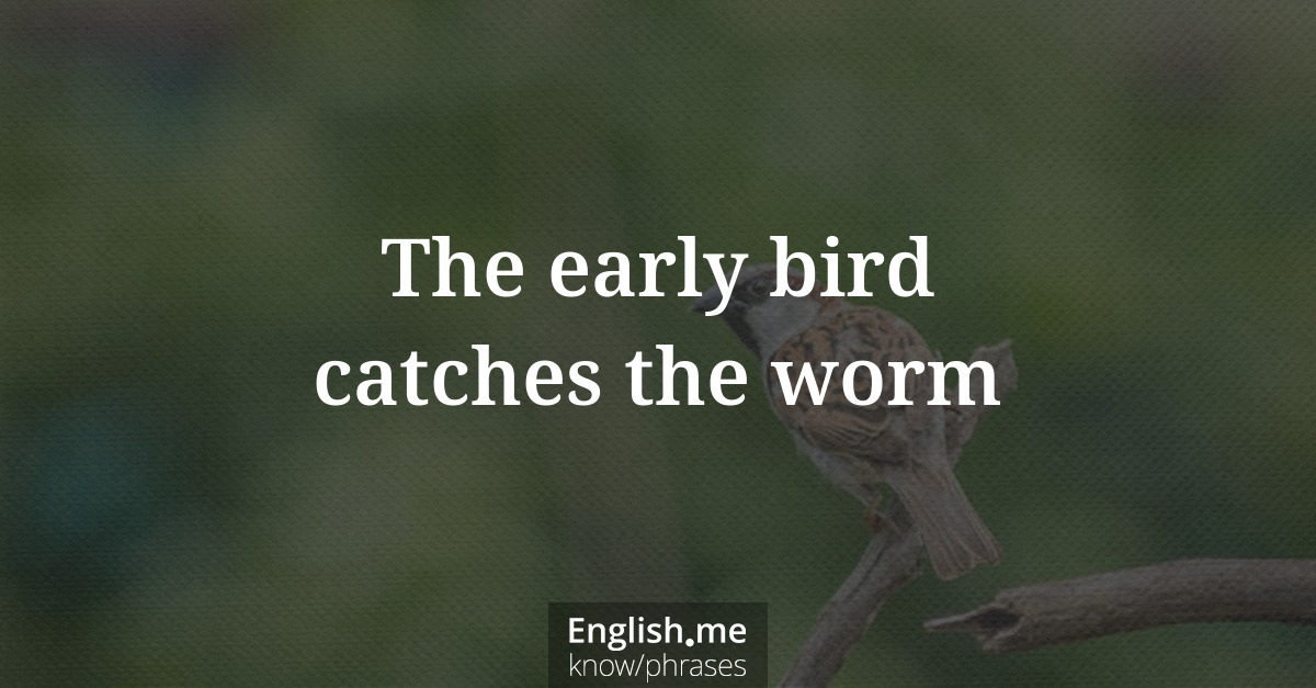 Erklärung &#8220;The early bird catches the worm&#8221;