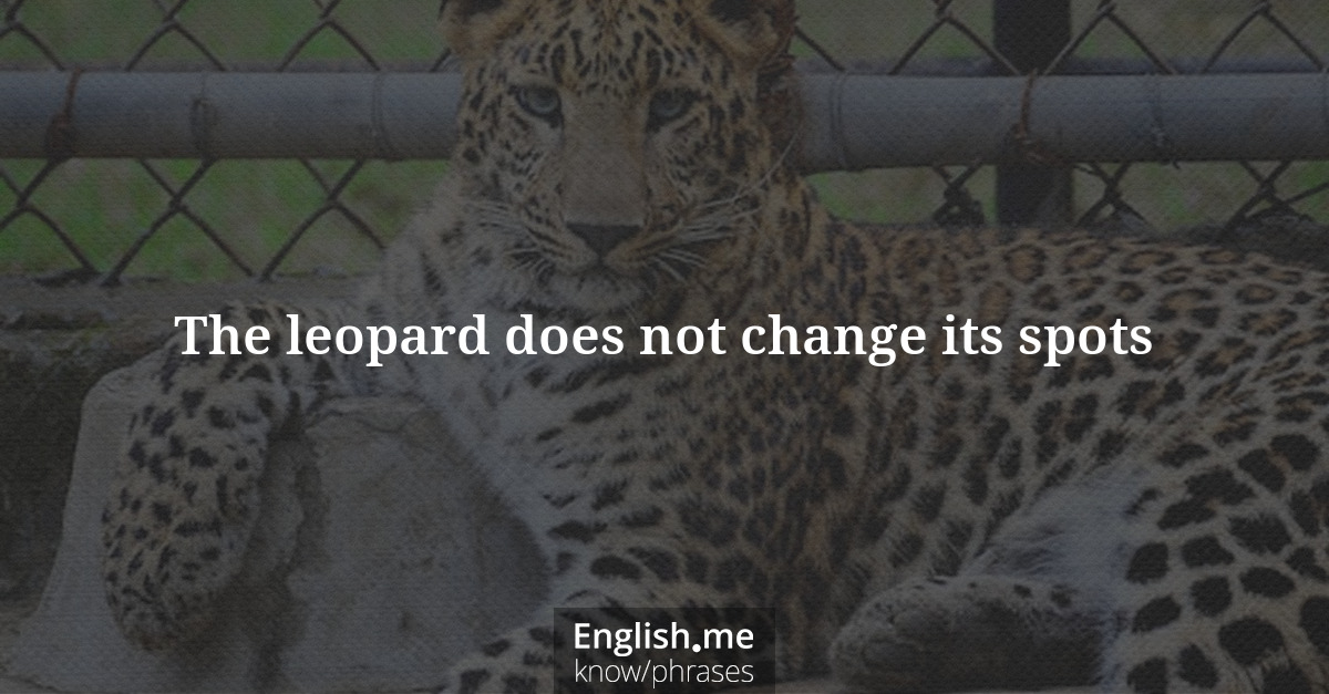 Erklärung &#8220;The leopard does not change its spots&#8221;