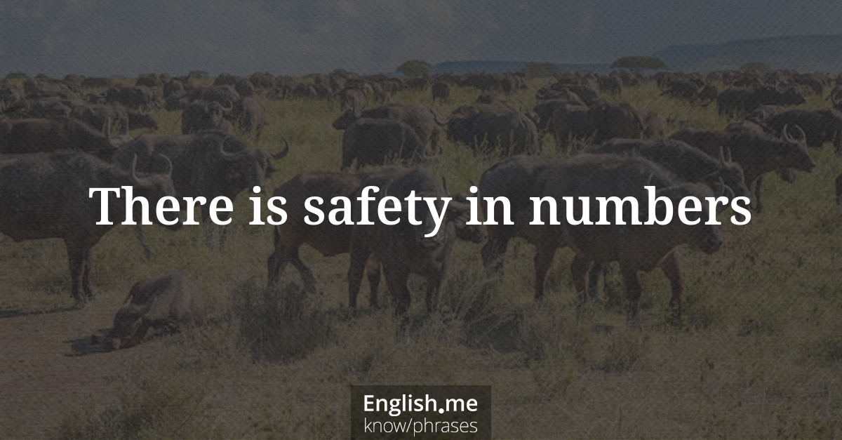 Erklärung &#8220;There is safety in numbers&#8221;