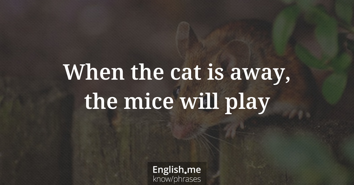 Erklärung &#8220;When the cat is away, the mice will play&#8221;