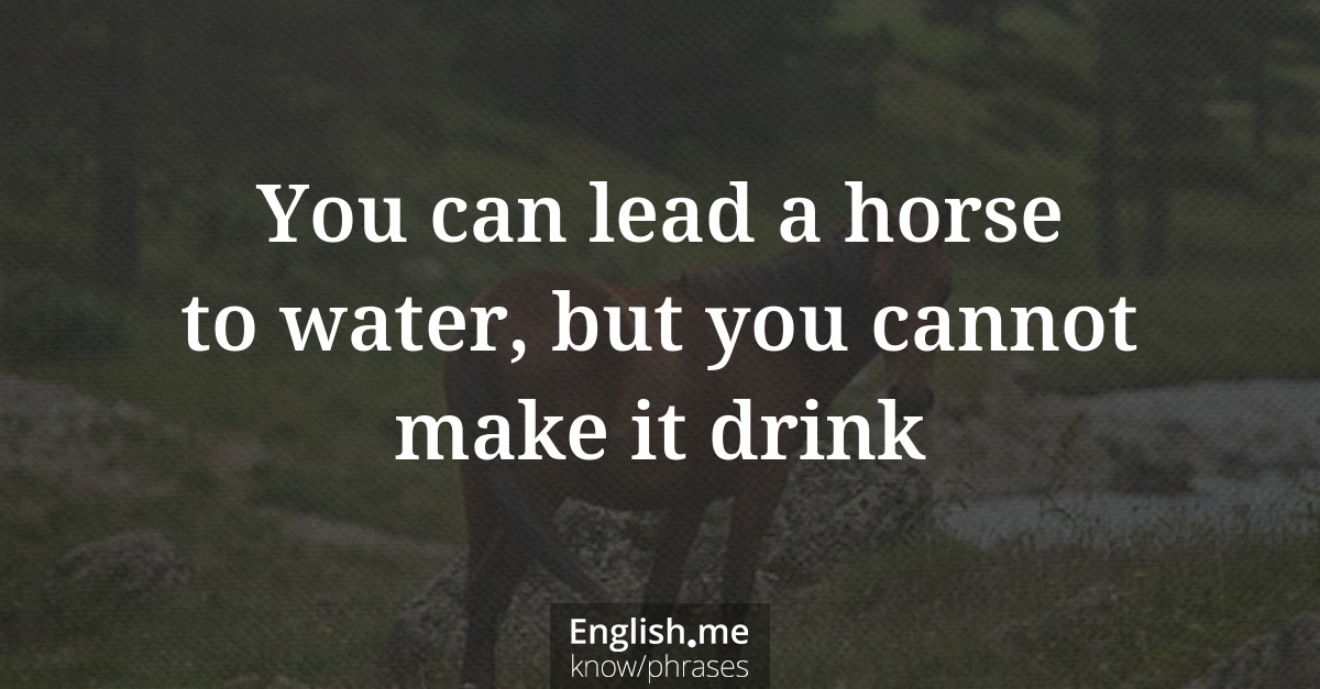Erklärung &#8220;You can lead a horse to water, but you cannot make it drink&#8221;